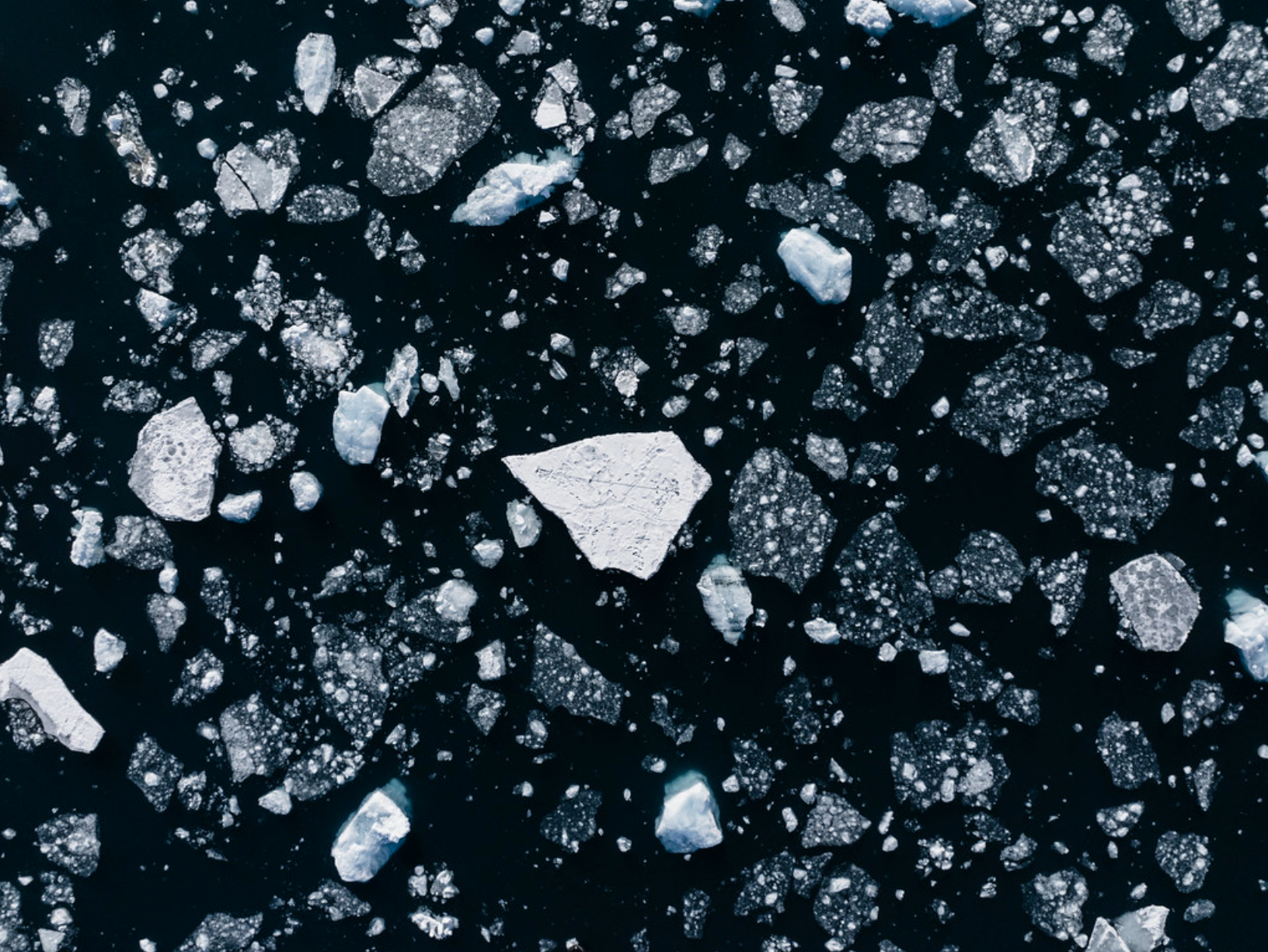 Polar Direction
